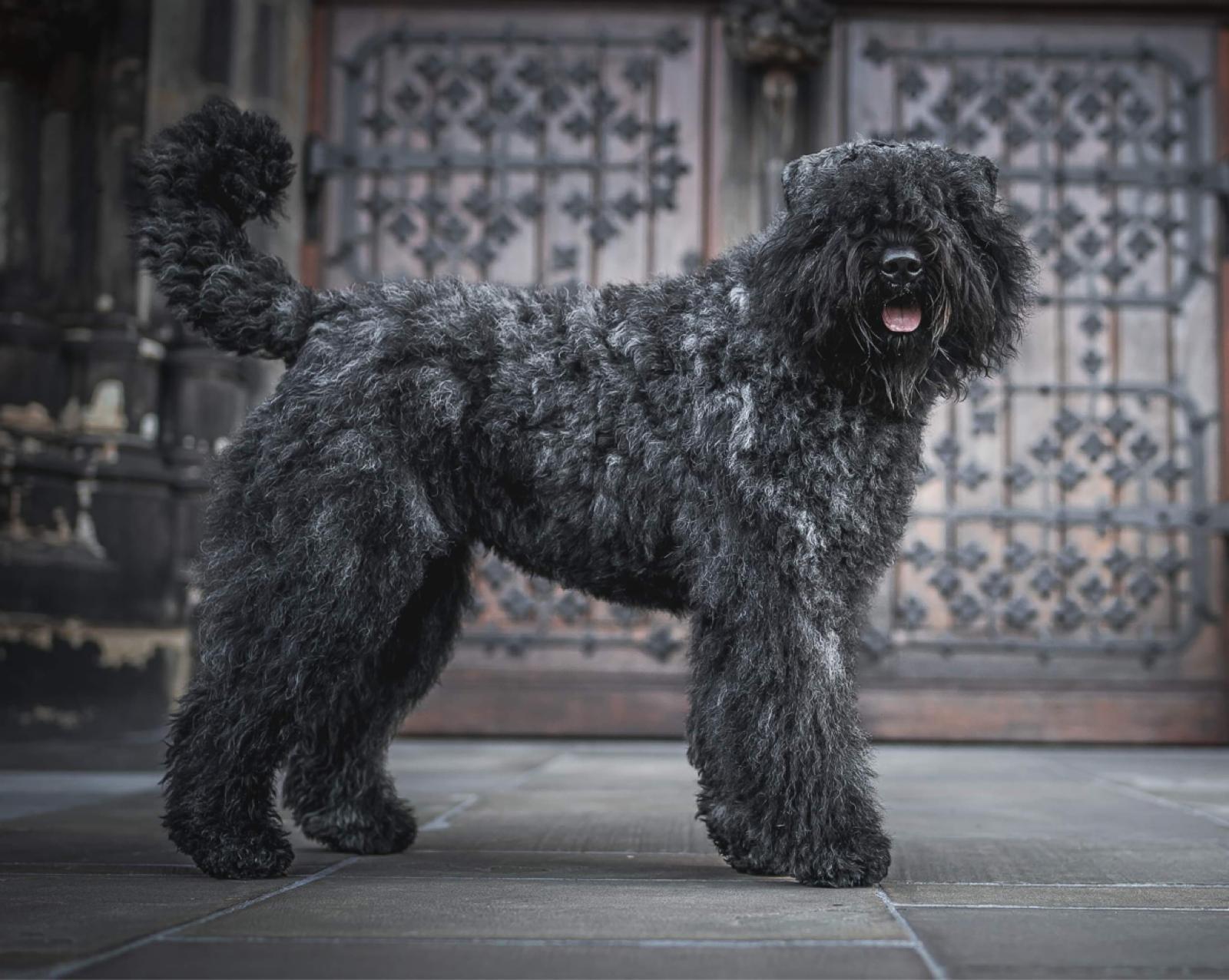 Bild laden 2918_Pia.jpg