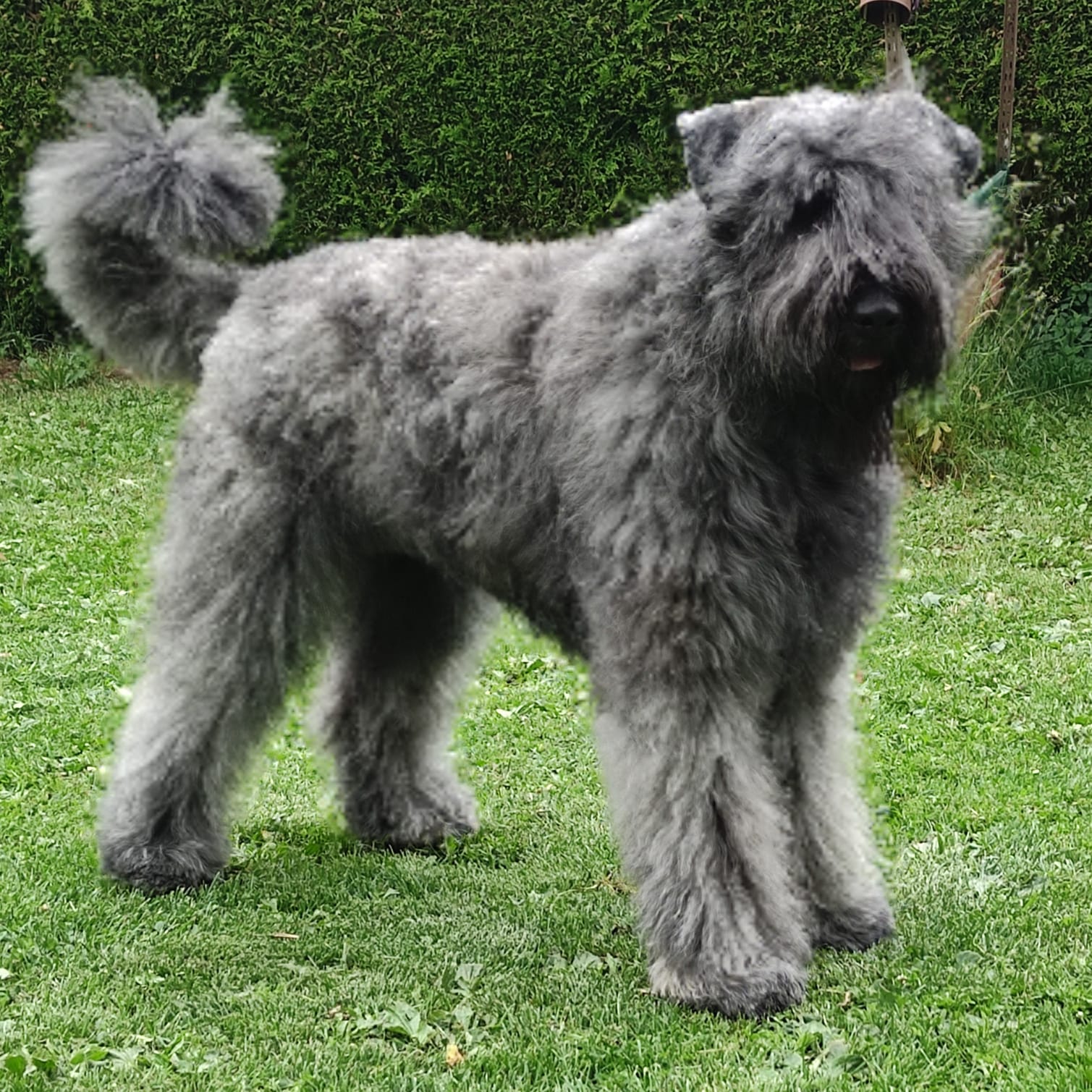 Bild laden 3586_IMG20250606WA0000.jpg