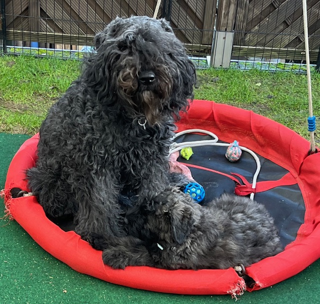 Bild laden 470_IMG_3416.jpg